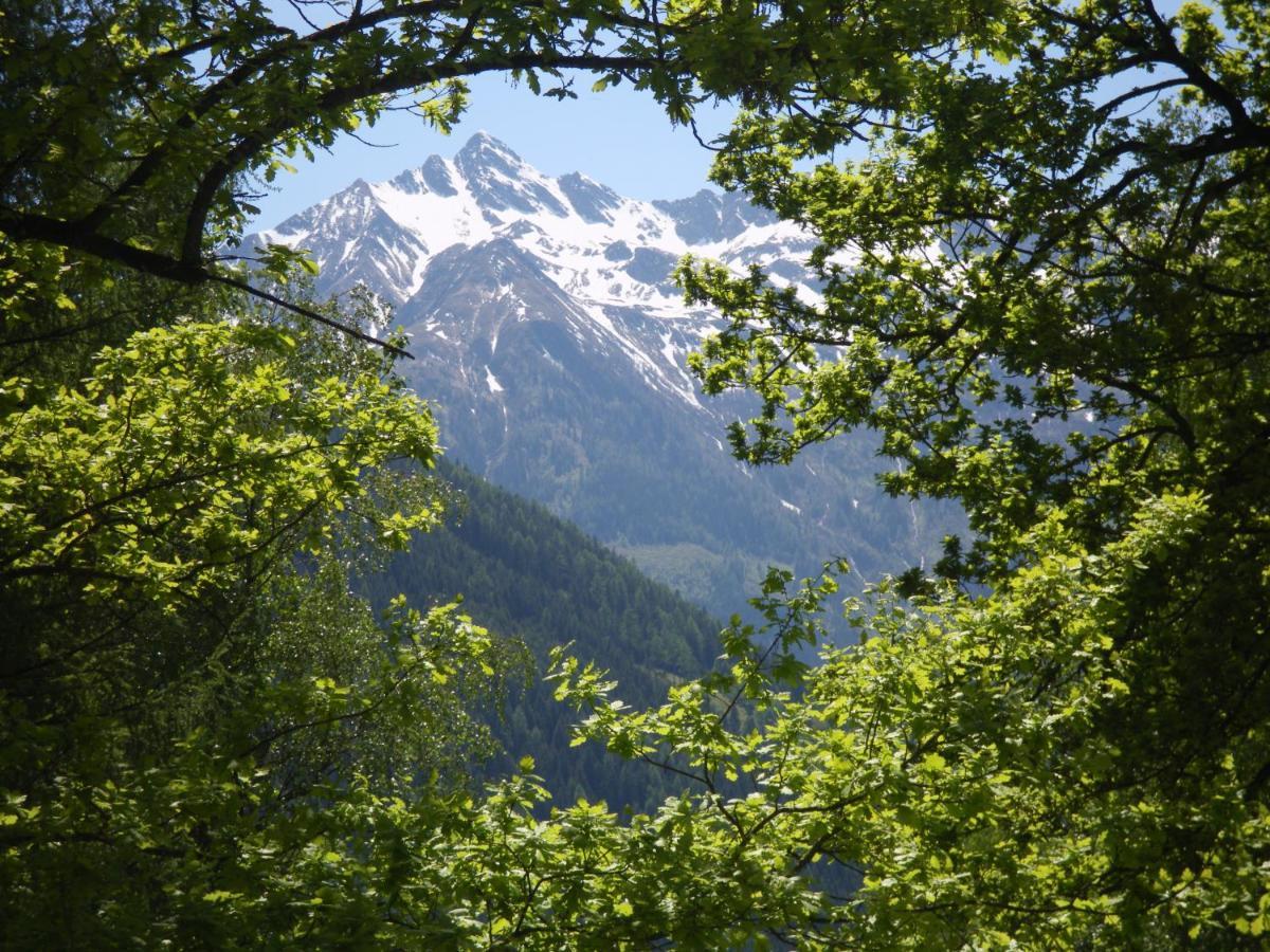 Appart Burgwies Ink Nationalpark Sommercard Stuhlfelden Екстериор снимка
